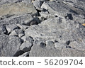 rock, rocky, texture 56209704