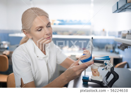 Dentist looking closely at fresh cast model of teeth. 56224638