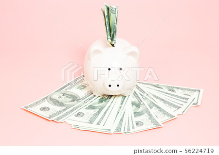 Piggy bank money on blue background 56224719