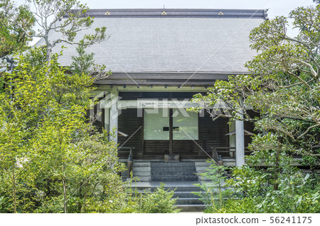 Jorakuji大廳(大船,鎌倉市) Jorakuji大廳(大船,鎌倉市) 56241175