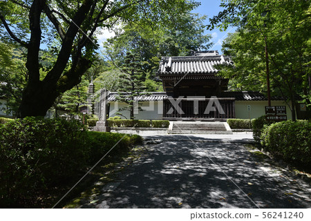 Sakyoji寺 56241240