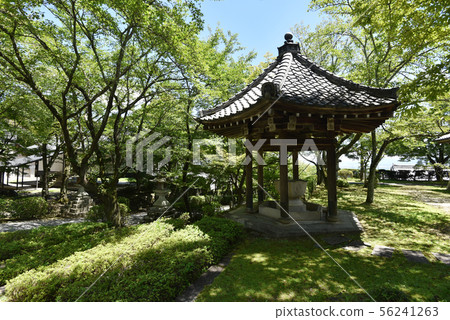 Saikyoji Temizusha 56241263