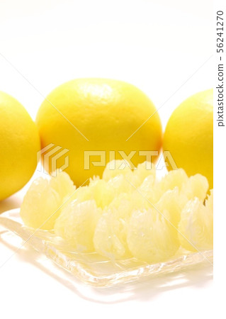 Tosa Buntan Stripped White Background Tosa Buntan Stripped White Background 56241270