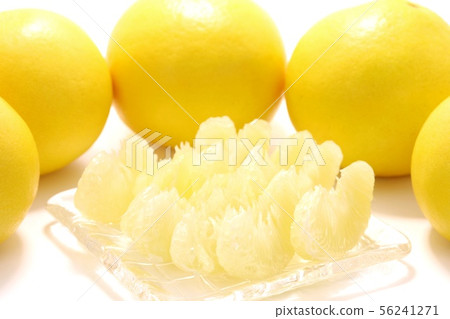 Tosa Buntan Stripped White Background 56241271