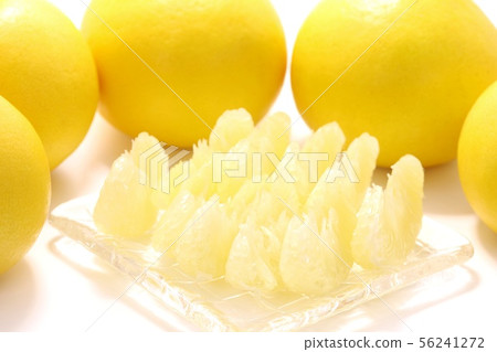 Tosa Buntan Stripped White Background Tosa Buntan Stripped White Background 56241272