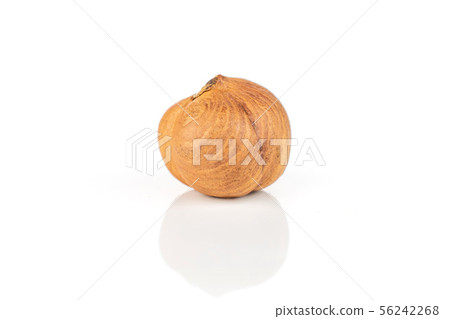 Ripe brown hazelnut isolated on white 56242268