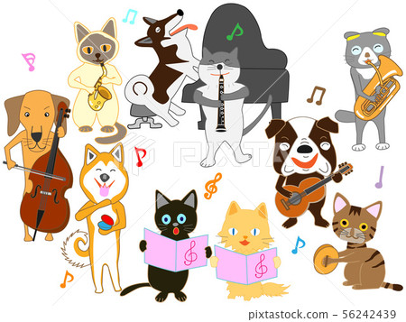 Dog and cat concert Dog and cat concert 56242439