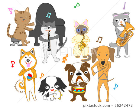 Dog and cat concert Dog and cat concert 56242472