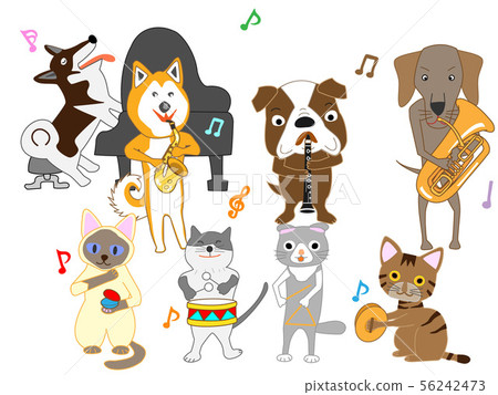 Dog and cat concert Dog and cat concert 56242473
