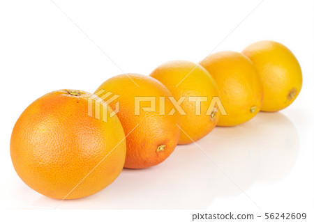 Fresh pink grapefruit isolated on white Fresh pink grapefruit isolated on white 56242609