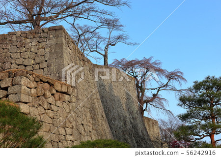 Stone wall Stone wall 56242916