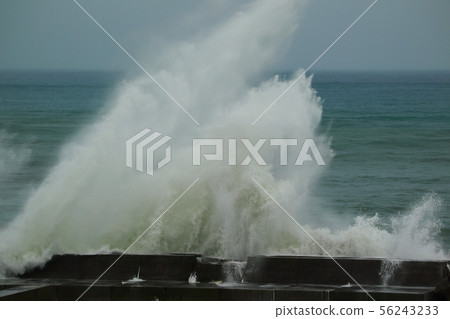 typhoon typhoon 56243233