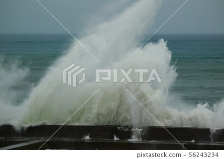 typhoon typhoon 56243234