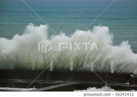 typhoon typhoon 56243432