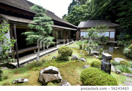 Saikyoji Garden 56243483
