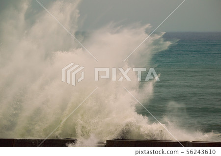 typhoon typhoon 56243610