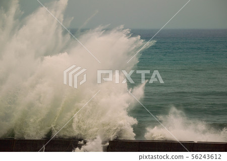 typhoon typhoon 56243612