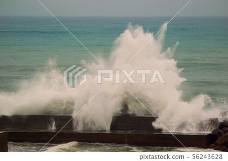typhoon typhoon 56243628