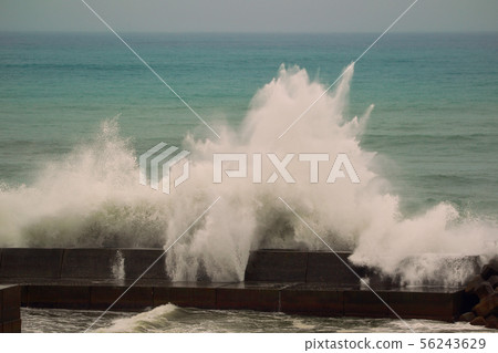 typhoon typhoon 56243629