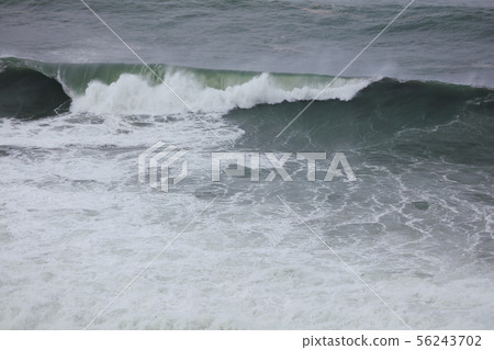 typhoon typhoon 56243702