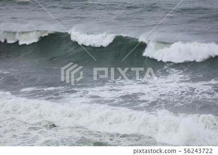 typhoon typhoon 56243722