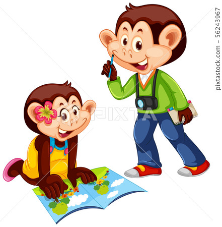 Cute monkey in human-like pose isolated Cute monkey in human-like pose isolated 56243967