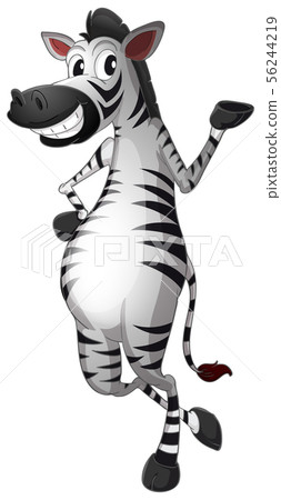 Happy zebra on white background 56244219