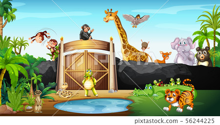 Many animals in the park Many animals in the park 56244225