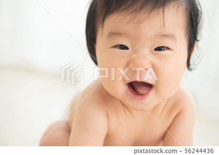 Baby naked boy infant 0 years old 0 years old Baby naked boy infant 0 years old 0 years old 56244436