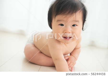 嬰兒裸體男孩嬰兒0歲0歲 56244438