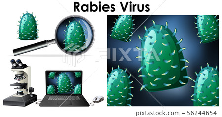 Close up isolated object of virus name Rabies 56244654