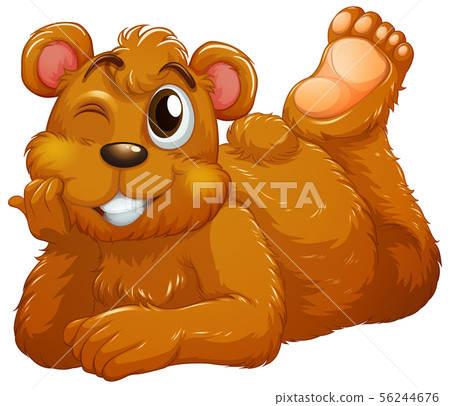Cute bear on white background Cute bear on white background 56244676
