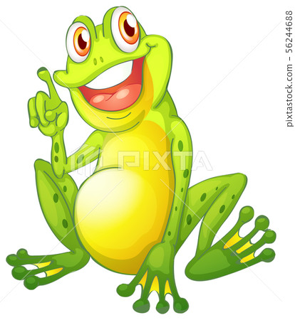 Green frog on white background 56244688