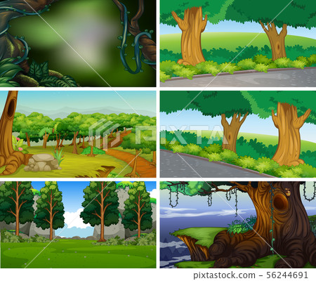 Empty, blank landscape nature scenes Empty, blank landscape nature scenes 56244691