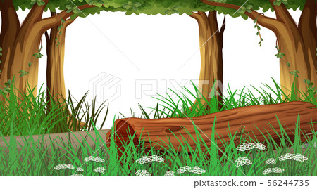 Empty background nature scenery 56244735