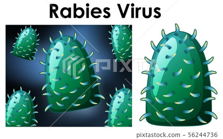 Close up isolated object of virus named Rabies 56244736