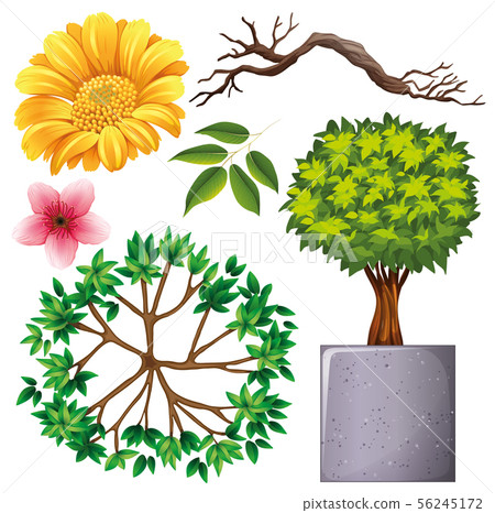 Set of isolated objects theme gardening Set of isolated objects theme gardening 56245172