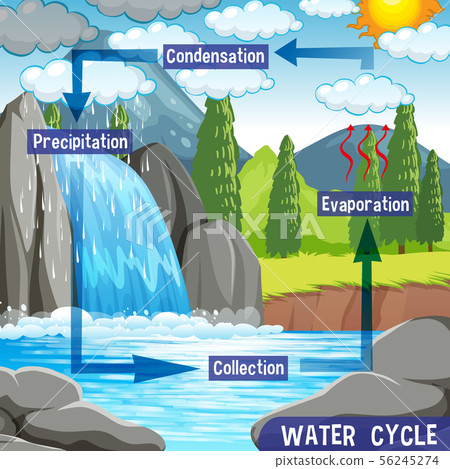 Water cycle process on Earth - Scientific 56245274