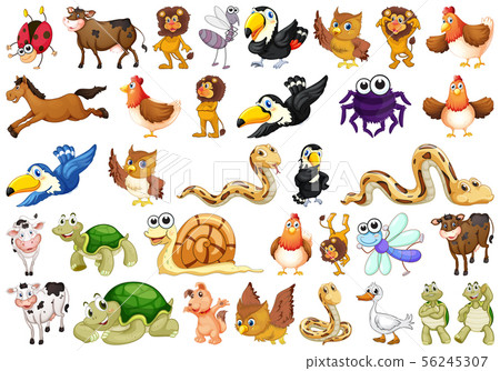 Set of different animals 56245307