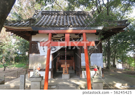 Domyoji Tenmangu Shrine 56245425