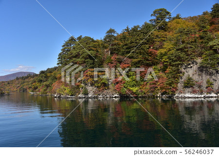Autumn leaves of Towada Lake 56246037