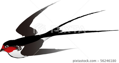 Ukiyoe Tsubame part 1 Ukiyoe Tsubame part 1 56246180