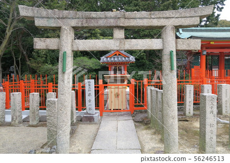 Taji Speed Hiyori Shrine-Bentensha- Taji Speed Hiyori Shrine-Bentensha- 56246513