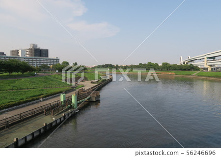 東京隅田川河床風景（夏天） 56246696