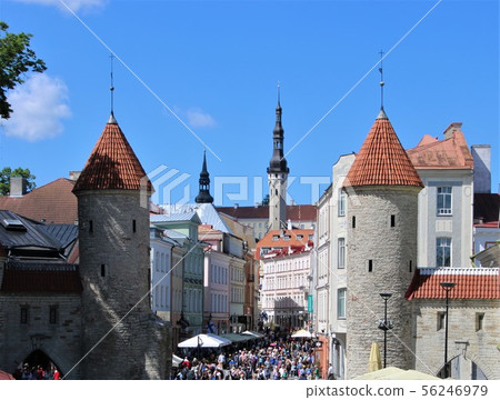 Tallinn Ville Gate and Main Street 56246979