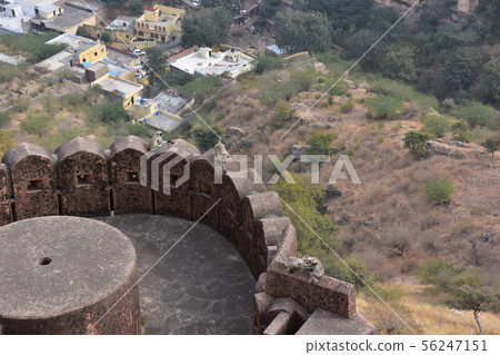Hermanon Langur herd sitting in the fort of Jaigarh Fort, Jaipur, India 56247151