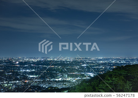 神奈川縣高麗山公園 56247178