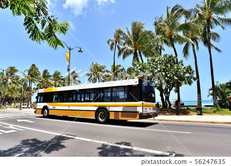 夏威夷的假期 56247635