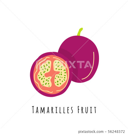 Tamarillo fruit flat vector illustration Tamarillo fruit flat vector illustration 56248372