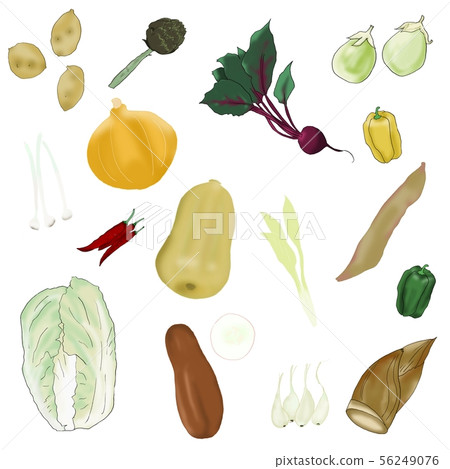 Vegetables Vegetables 56249076